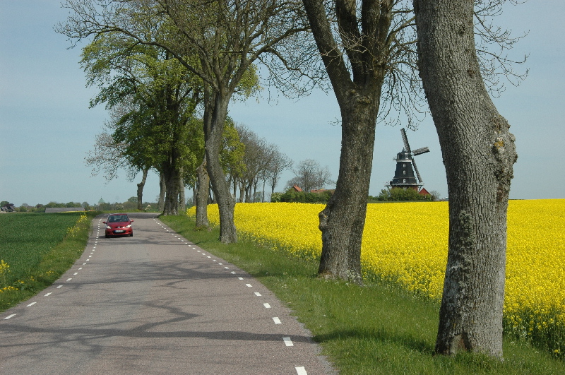 image15