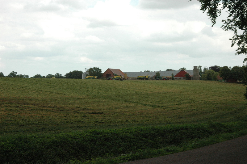 image51