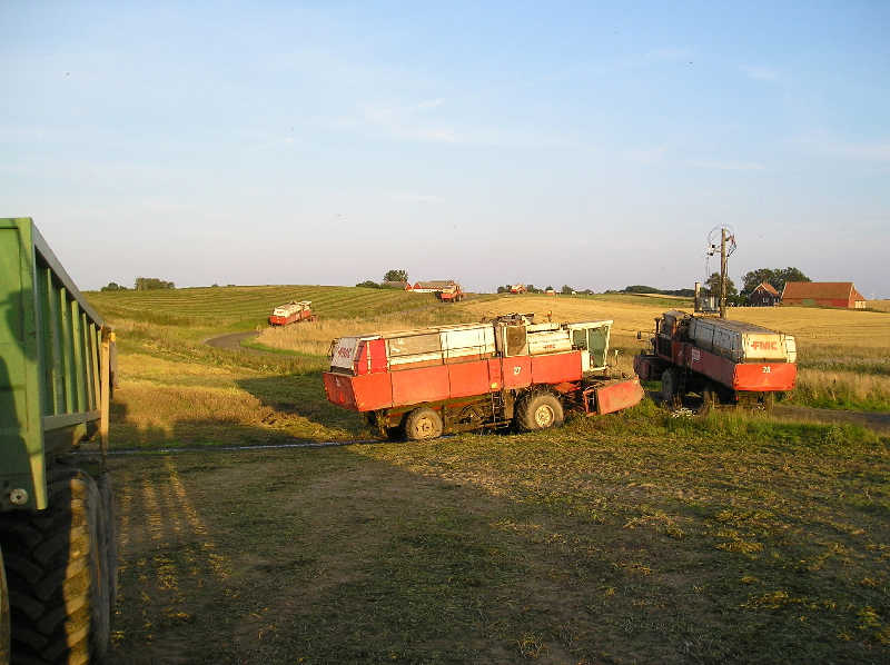 image19