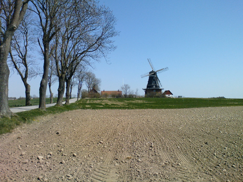 image24